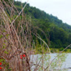 Meet your Posher, Ian